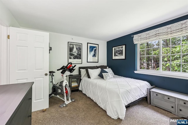 510 Mark Twain Way, Mahwah, NJ 07430 - bedroom featuring carpet floors