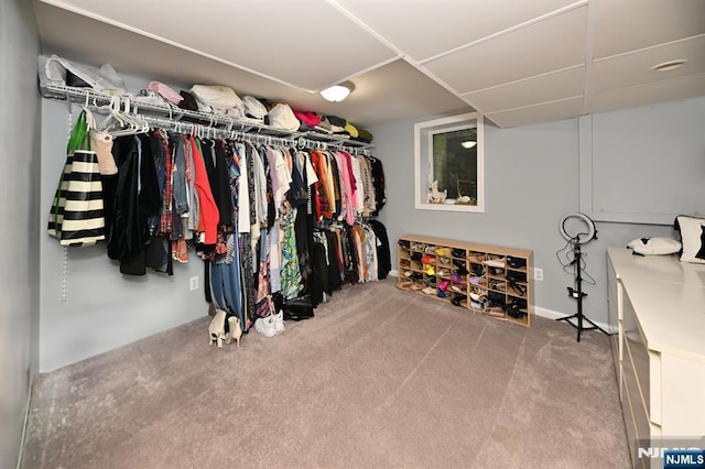 spacious closet with carpet floors