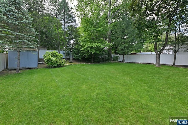 view of yard