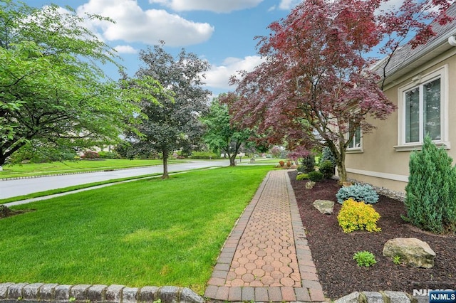 31 Bourbon St, Wayne, NJ 07470 - view of green lawn