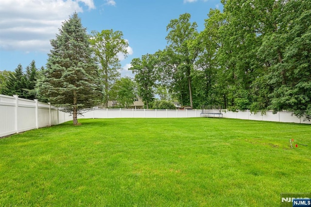 31 Bourbon St, Wayne, NJ 07470 - view of yard
