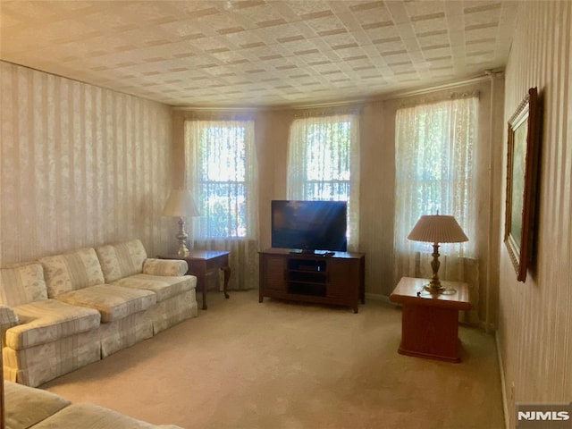 178 Fern Ave, Lyndhurst, NJ 07071 - view of carpeted living room