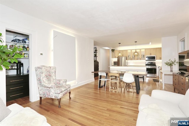 427 Stockton Pl Unit 2, Englewood, NJ 07631 - living area featuring light wood finished floors and baseboards