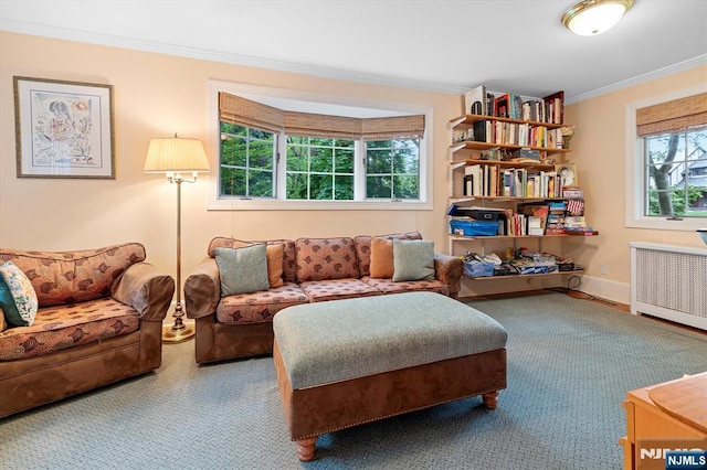 747 Mildred St, Teaneck, NJ 07666 - carpeted living area with radiator and ornamental molding