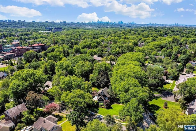 747 Mildred St, Teaneck, NJ 07666 - drone / aerial view of city skyline