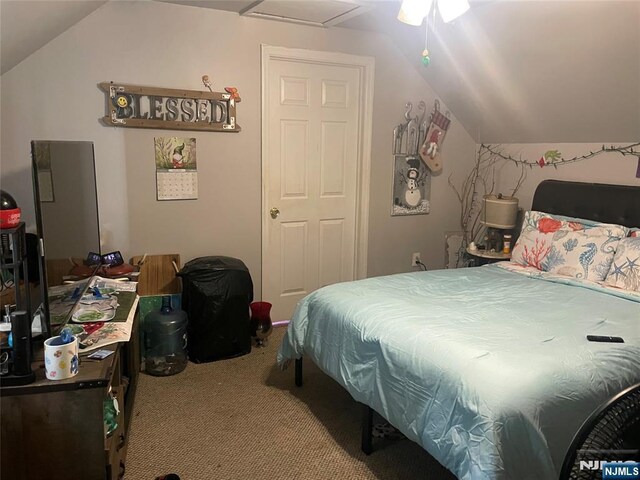 67-69 Garret St, Paterson, NJ 07501 - carpeted bedroom featuring vaulted ceiling