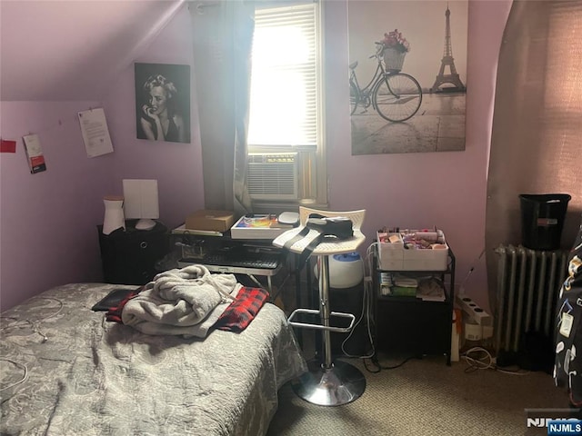 67-69 Garret St, Paterson, NJ 07501 - bedroom featuring radiator heating unit and vaulted ceiling