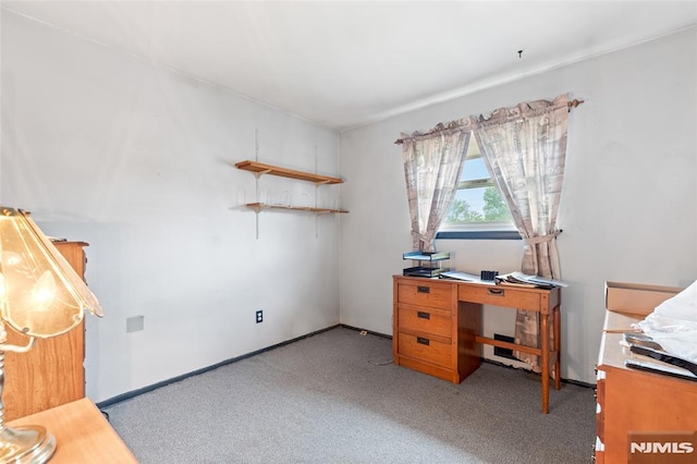 104 Richard St, Rockaway Township, NJ 07801 - view of carpeted office