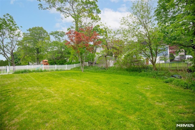 104 Richard St, Rockaway Township, NJ 07801 - view of yard