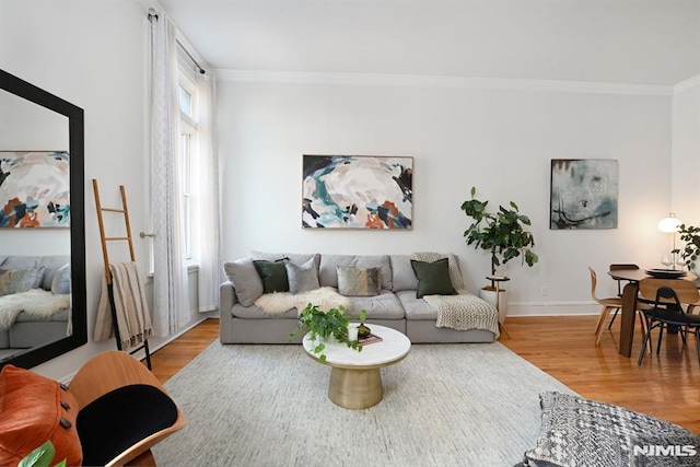 167 Wayne St Unit 407, Jersey City, NJ 07302 - living room with wood finished floors, crown molding, and baseboards