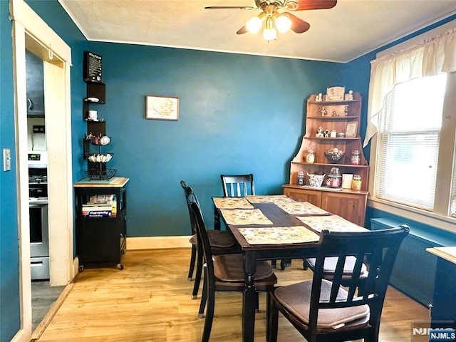 84 Haring St, Bergenfield, NJ 07621 - dining room with plenty of natural light, ceiling fan, and light wood-style flooring