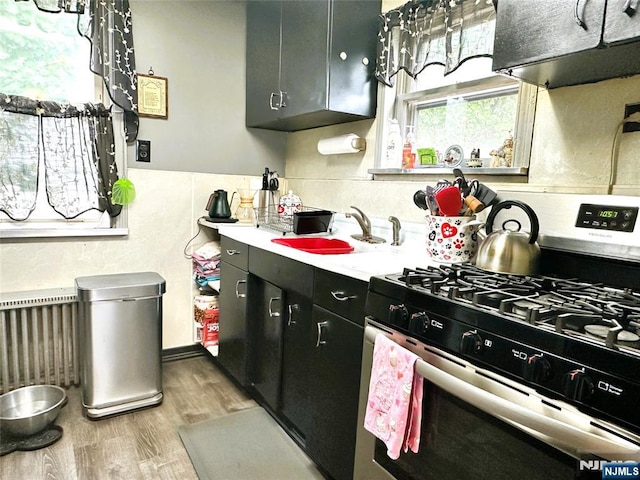 84 Haring St, Bergenfield, NJ 07621 - kitchen with stainless steel range with gas cooktop, wood finished floors, dark cabinets, light countertops, and a sink