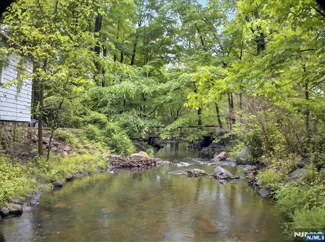 246 Park Ave, Allendale, NJ 07401 - water view