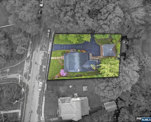 246 Park Ave, Allendale, NJ 07401 - aerial view