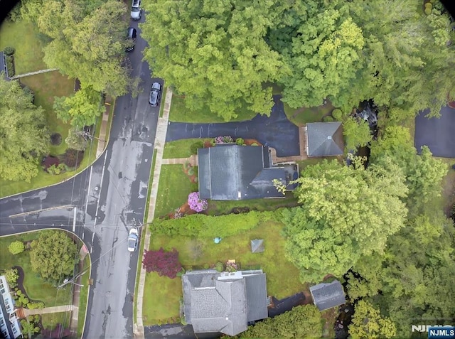 246 Park Ave, Allendale, NJ 07401 - drone / aerial view