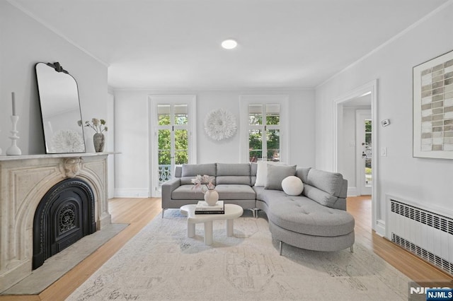 249 Valley Rd, Montclair, NJ 07042 - living area featuring radiator, wood finished floors, ornamental molding, a fireplace, and baseboards