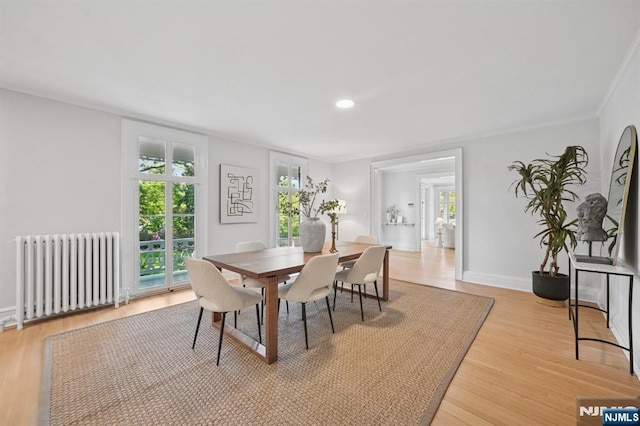 249 Valley Rd, Montclair, NJ 07042 - dining space with radiator, plenty of natural light, light wood-style floors, and baseboards