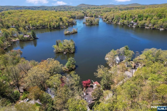 60 Leach Dr, Bloomingdale, NJ 07403 - drone / aerial view of a forest and a large body of water