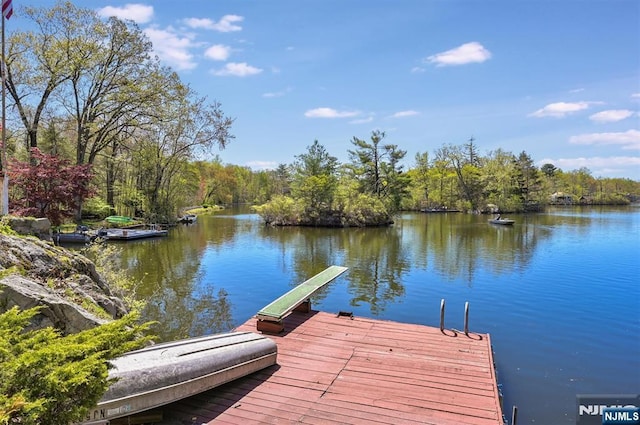 60 Leach Dr, Bloomingdale, NJ 07403 - dock with a water view and a wooded view