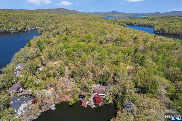 60 Leach Dr, Bloomingdale, NJ 07403 - aerial overview of property's location with a forest and a water and mountain view