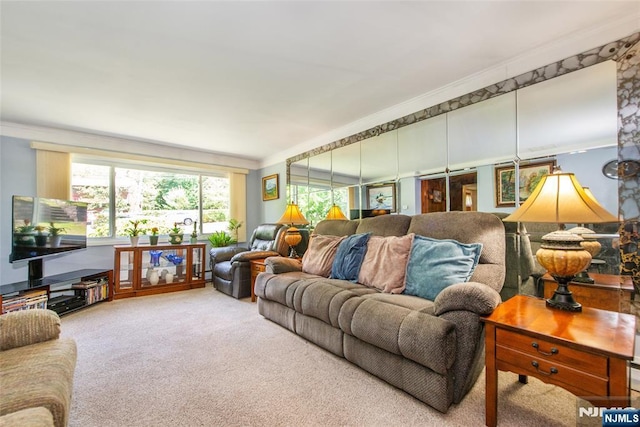 16 Dalewood Rd, Wayne, NJ 07470 - carpeted living area featuring ornamental molding