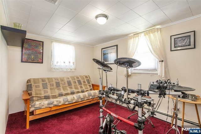 16 Dalewood Rd, Wayne, NJ 07470 - exercise room with healthy amount of natural light, crown molding, and carpet floors