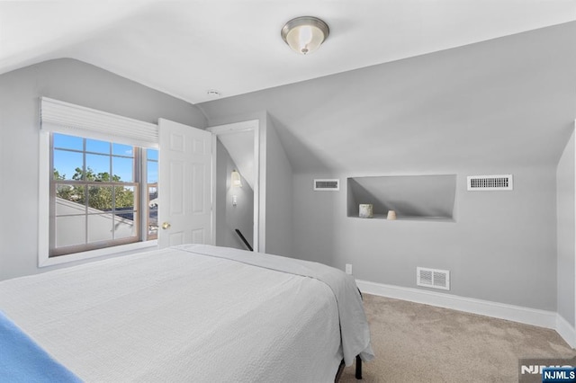 97 Avenue Ave, Lodi, NJ 07644 - bedroom featuring vaulted ceiling, baseboards, and carpet flooring