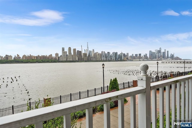41 Lydia Dr Unit 41, West New York, NJ 07093 - water view with city skyline