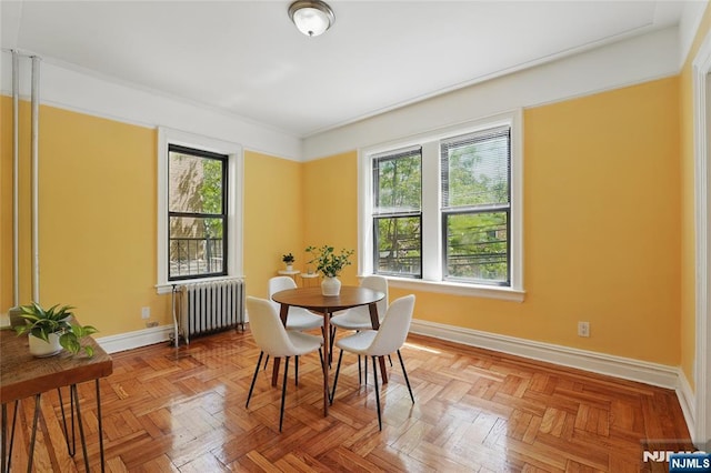 50 Reservoir Ave Unit 201, Jersey City, NJ 07307 - dining space with radiator heating unit, plenty of natural light, and baseboards