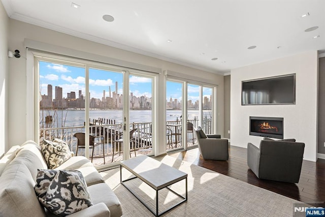 443 Albany Ct Unit 443, West New York, NJ 07093 - living room featuring a view of city, a lit fireplace, crown molding, hardwood / wood-style floors, and recessed lighting