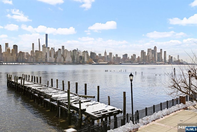 443 Albany Ct Unit 443, West New York, NJ 07093 - dock with a water view and a skyline view