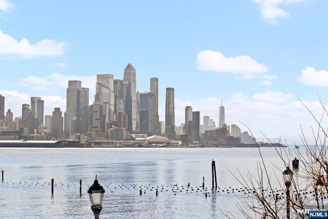443 Albany Ct Unit 443, West New York, NJ 07093 - skyline view with a large body of water