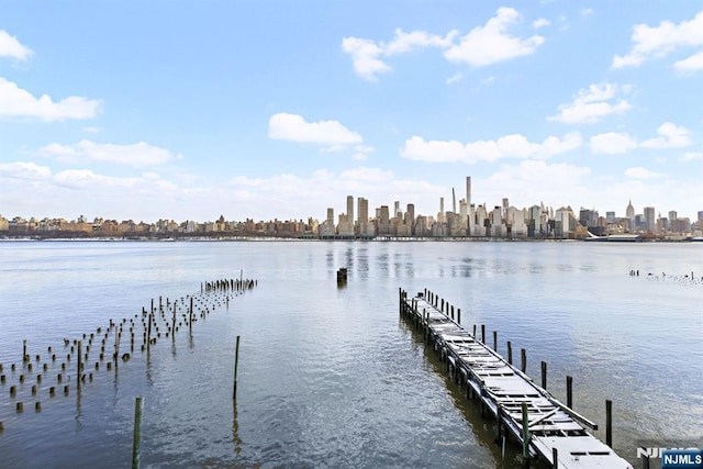 443 Albany Ct Unit 443, West New York, NJ 07093 - dock area with a water view