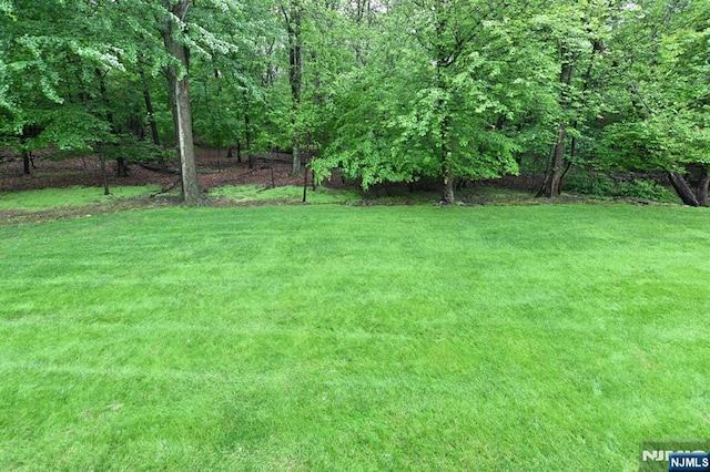 54 Hunter Rd, North Haledon, NJ 07508 - view of grassy yard