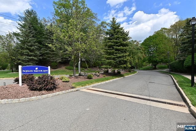 54 Hunter Rd, North Haledon, NJ 07508 - view of asphalt road featuring street lighting and curbs