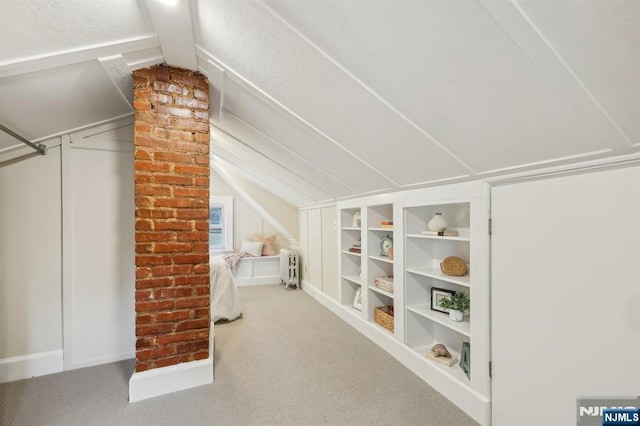 5 Laurel Pl, Glen Ridge, NJ 07028 - additional living space featuring vaulted ceiling, carpet, and built in shelves