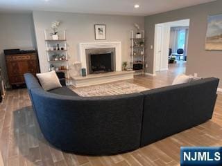 625 Roberge Dr, River Vale, NJ 07675 - living area featuring a fireplace with raised hearth, recessed lighting, and wood finished floors