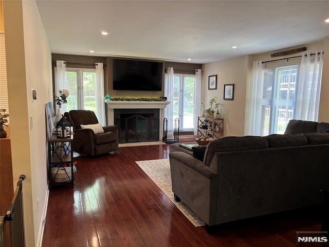 25 Osprey Unit G310, Hackettstown, NJ 07840 - living area featuring healthy amount of natural light, dark wood finished floors, a fireplace with flush hearth, and recessed lighting