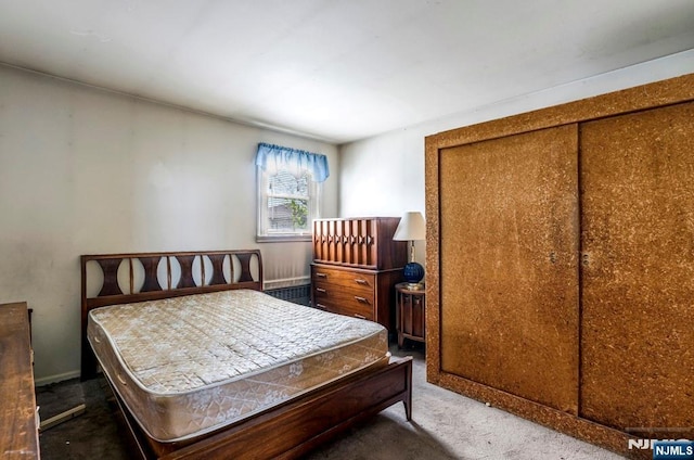 542 3rd Ave, Lyndhurst, NJ 07071 - view of carpeted bedroom