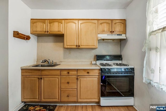 542 3rd Ave, Lyndhurst, NJ 07071 - kitchen featuring range with gas cooktop, under cabinet range hood, light wood-type flooring, a sink, and light countertops