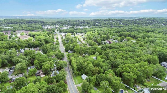 99 Comly Rd, Lincoln Park Borough, NJ 07035 - bird's eye view of a forest