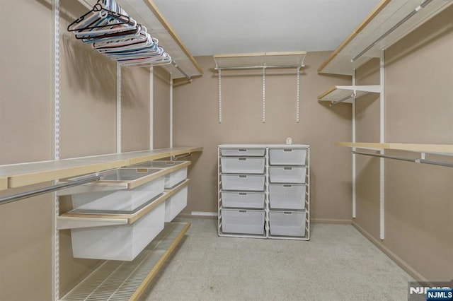 65 Cummings Ct, Mahwah, NJ 07430 - spacious closet featuring carpet floors