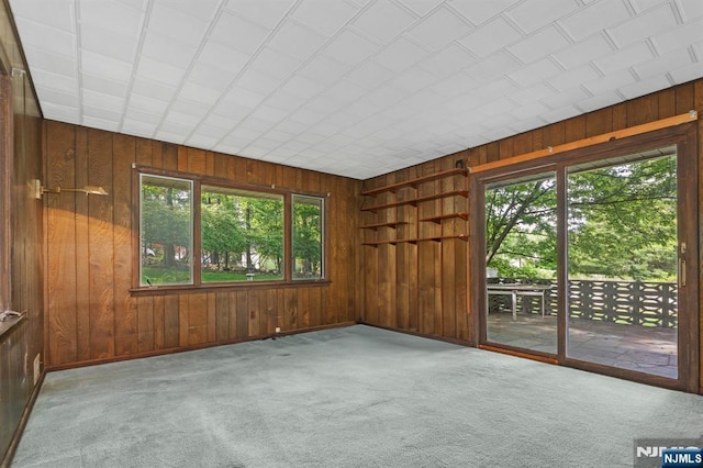 15 Strawberry Hill Rd, Hillsdale, NJ 07642 - spare room featuring wood walls, carpet floors, and baseboards