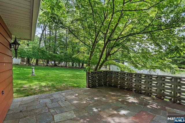 15 Strawberry Hill Rd, Hillsdale, NJ 07642 - view of patio