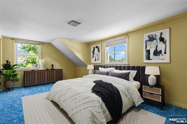 9 Rutan Pl, Bloomfield, NJ 07003 - bedroom with carpet floors, multiple windows, and lofted ceiling
