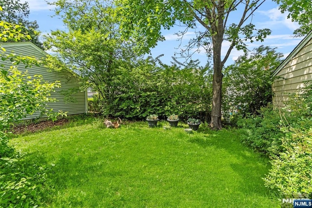 9 Rutan Pl, Bloomfield, NJ 07003 - view of grassy yard