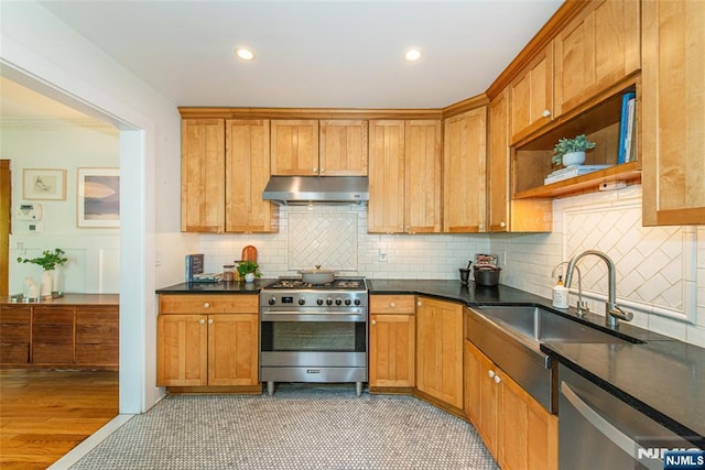 27 Nassau Rd, Montclair, NJ 07043 - kitchen featuring stainless steel appliances, under cabinet range hood, a sink, decorative backsplash, and recessed lighting