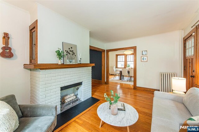 27 Nassau Rd, Montclair, NJ 07043 - living area featuring radiator, wood finished floors, baseboards, a fireplace, and crown molding
