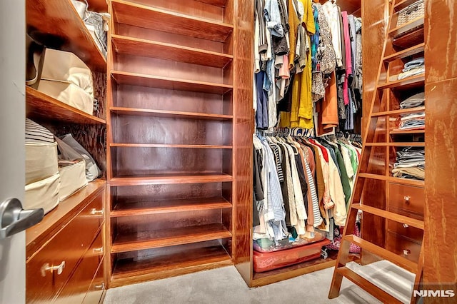 274 Roslyn Ct, West New York, NJ 07093 - spacious closet with carpet