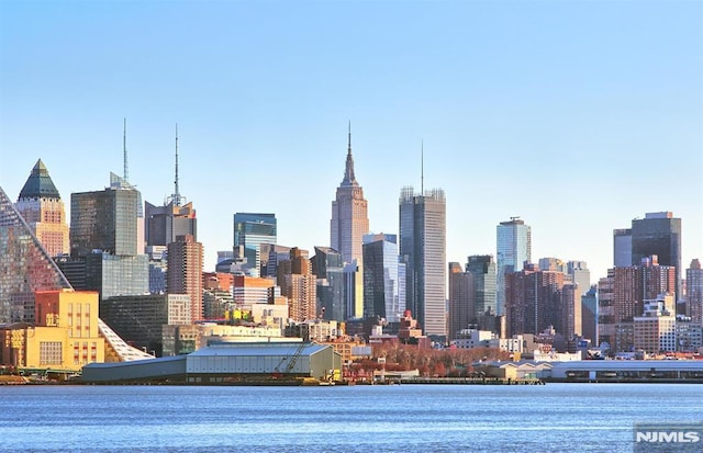 274 Roslyn Ct, West New York, NJ 07093 - view of city skyline with a nearby body of water
